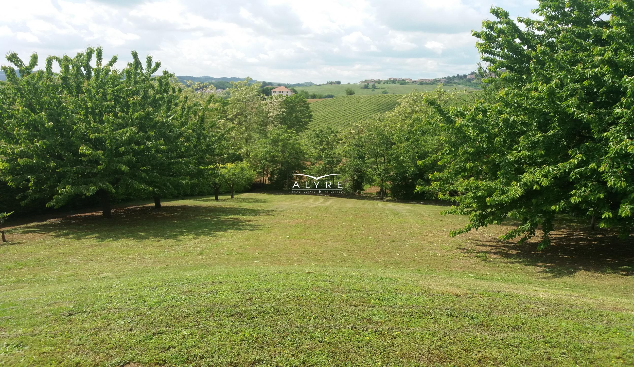 CASA IN VENDITA A ROSIGNANO MONFERRATO